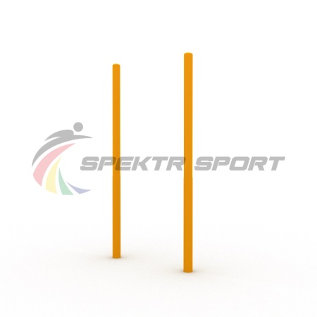 Купить Столбы вертикальные для выполнения упражнений Воркаут SP WRK-18_76mm в Стародубе 